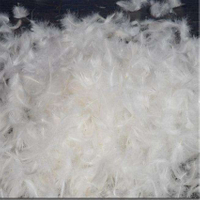 White Duck Feather PRD-DF21005